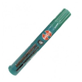 Marcador permanente Shely verde